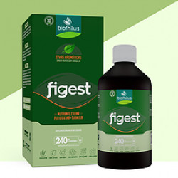 Figest - 240ml