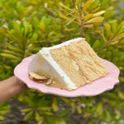 Fatia Bolo de Cupuaçu 175g