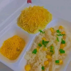 Filé de Frango grelhado
