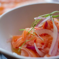 Ceviche Salmão