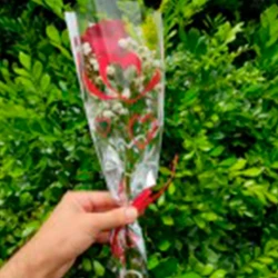 Solitária - Unidade de Rosa