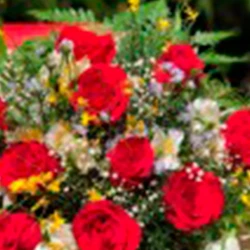 Buquê de Rosas