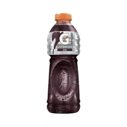 Gatorade uva pet 500ML UN
