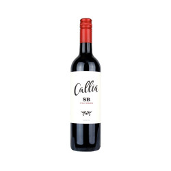 Vinho argentino callia alta syrah born