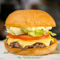 X- Burg