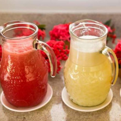 Sucos Naturais Jarra de 1L