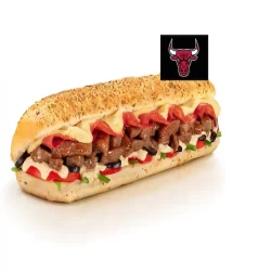 Chicago bulls Sub