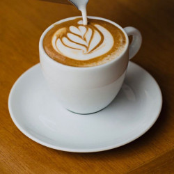 Cappuccino Flying Fox