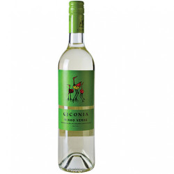 Ciconia Branco Vinho Verde DOC, Portugal