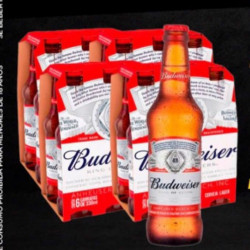 Budweiser Long Neck 330 ml - Caixa