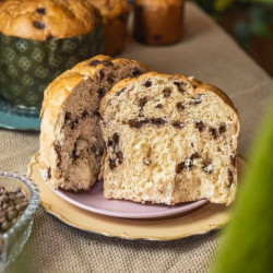 Chocotone Tradicional - 500g